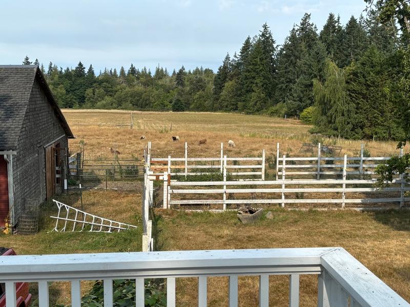 Here's a photo of the view of our sheep pasture, similar to what the camera provides.