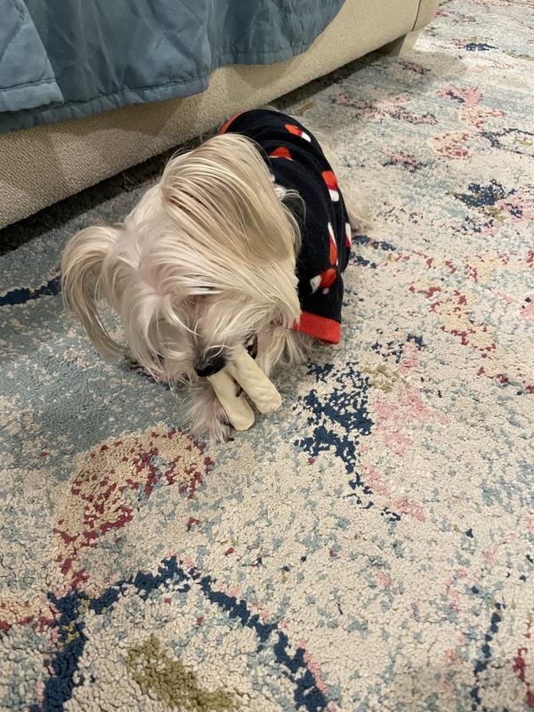 Hoarding the chews - 2 at a time!