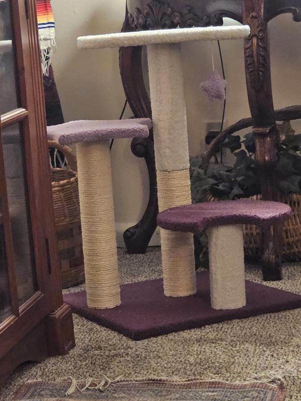 FRISCO Star, Moon and Cloud 25" Plush Cat Tree