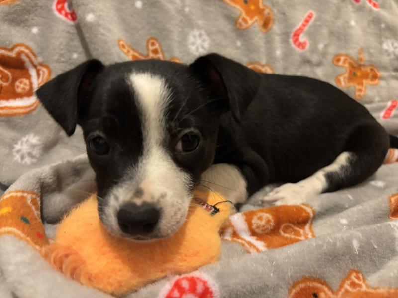 Also doubles as a pillow if you’re small enough 🥹