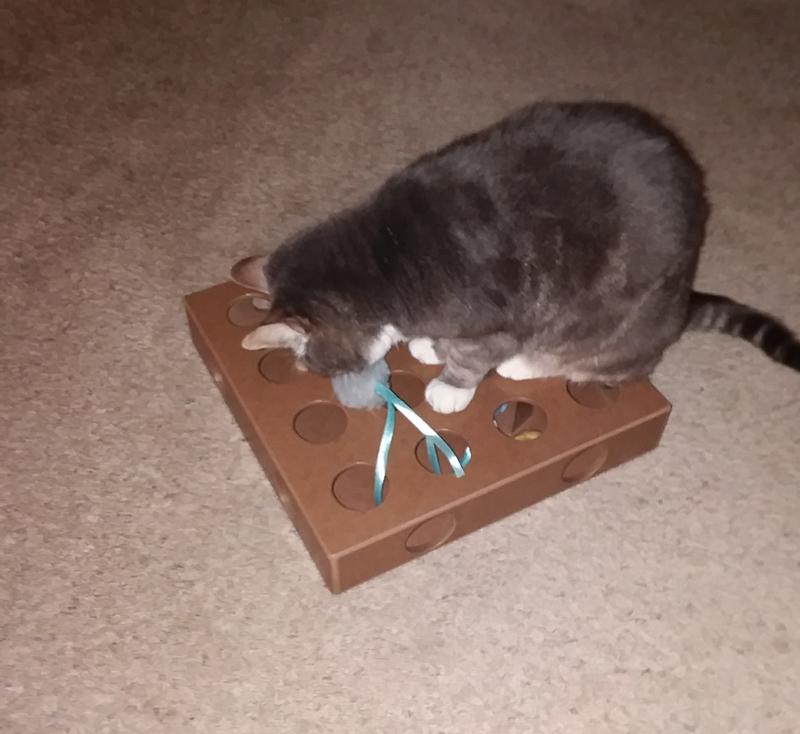 My Kitty Loves This!