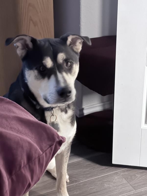 Mom may I please have more