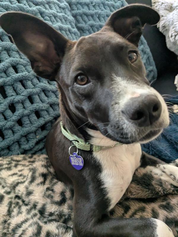 Mr. Oliver with fresh breath