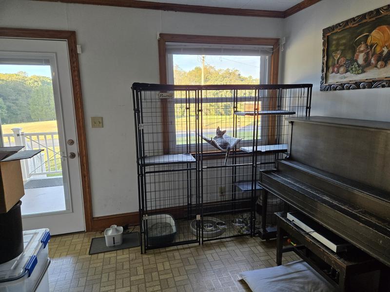 Full view of catio.