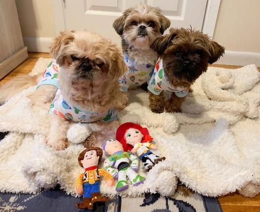 Pixar Buzz Lightyear, Woody & Jessie Plush Squeaky Dog Toy