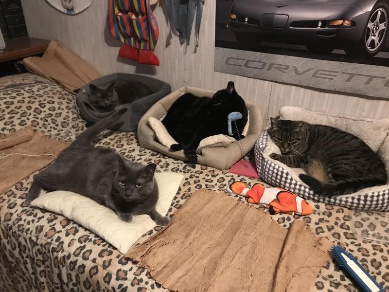 Puffy with her brother and sisters.