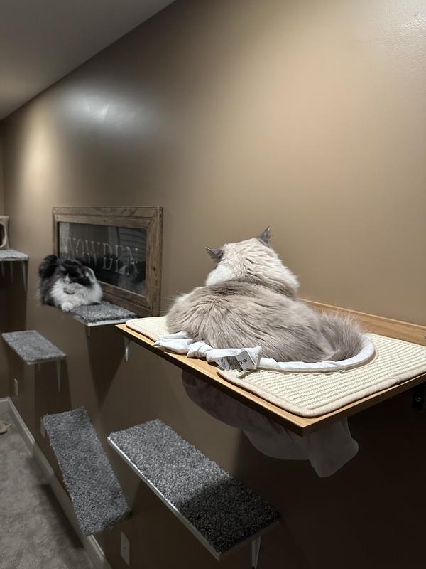 Patiently waiting his turn