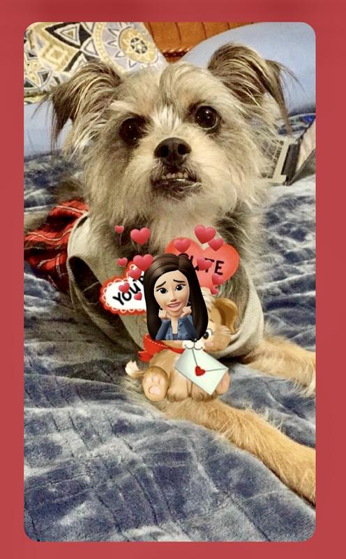 Sophie says “Thank you”….