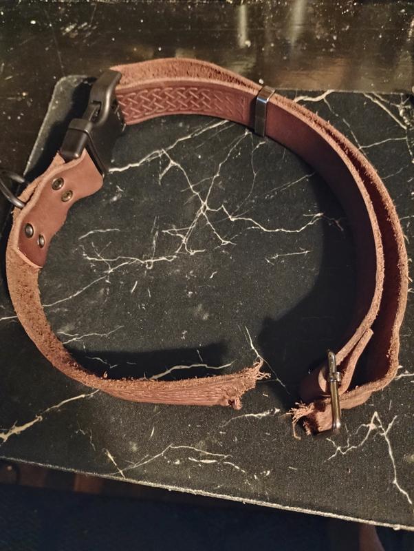 My year old pit bull pulled too hard