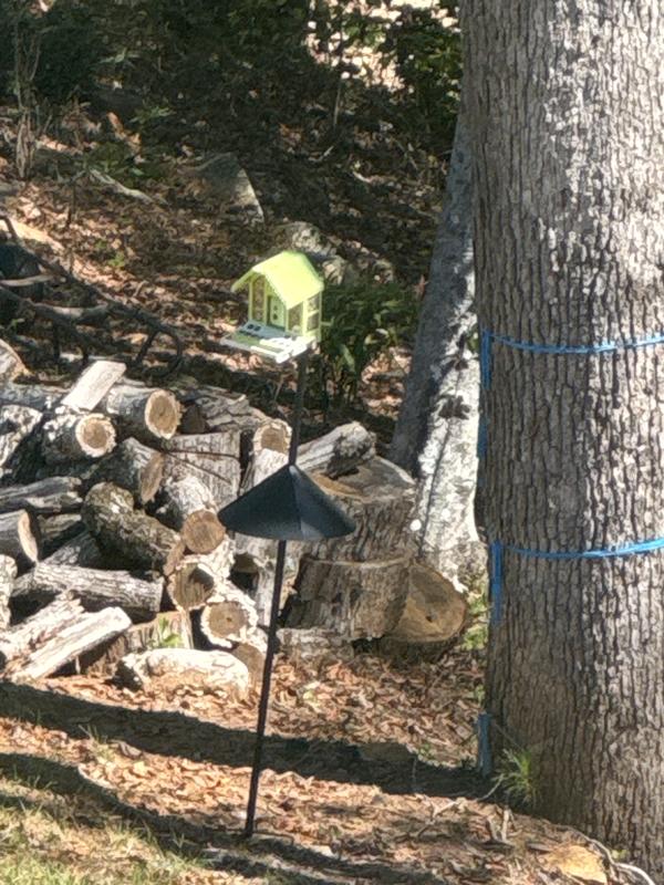 Awesome bird feeder!