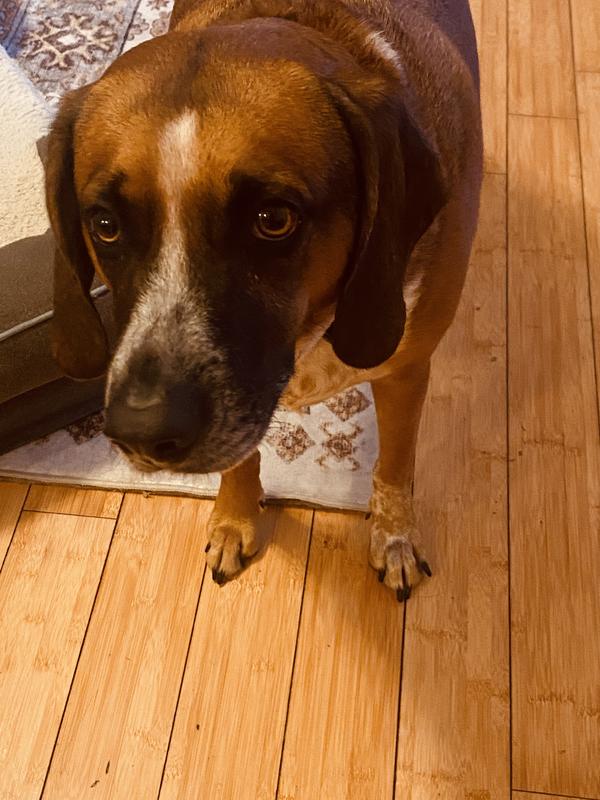 My girl waiting patiently to try buly stix!