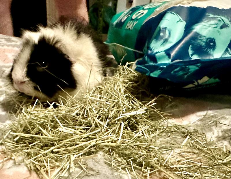 What it this new stuff?