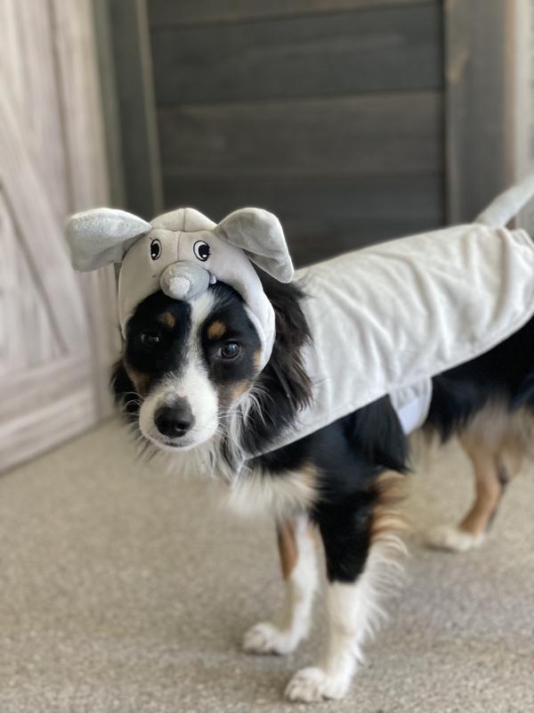 Diy Costumes Elephant Costume For Large Dog Discontinued FRISCO