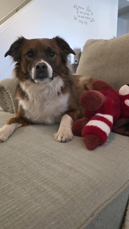 When your plushie becomes your emotional support animal.