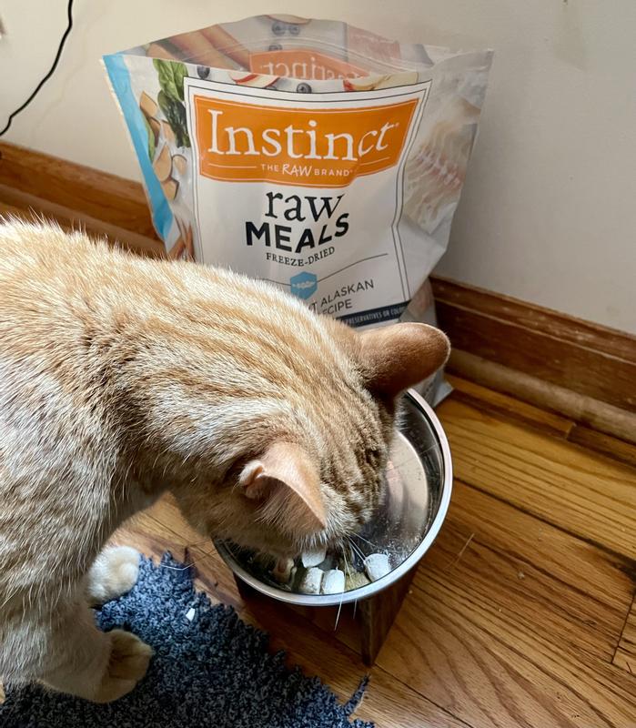 Enjoyed by picky cat