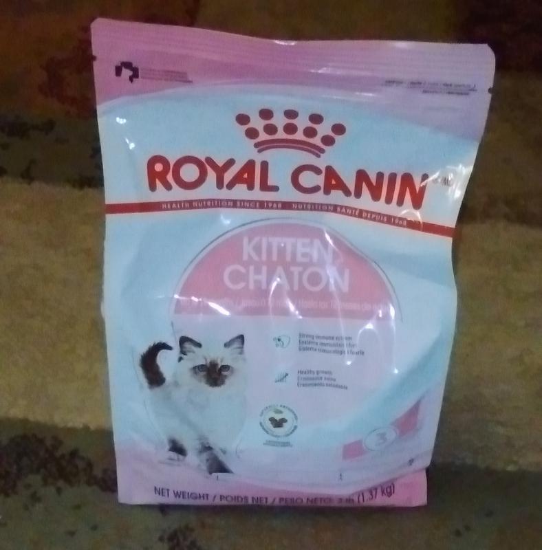 Royal canin kitten sales chaton