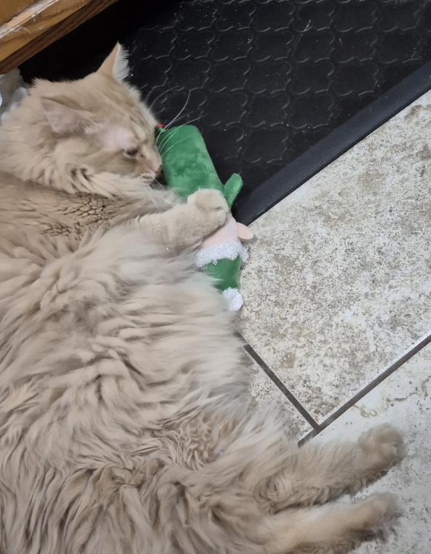 Gibbs playing with his elf toy