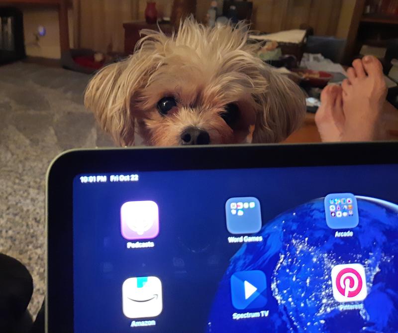 Ms Carol…supervisor