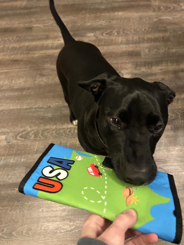 Dutifully posing for a photo