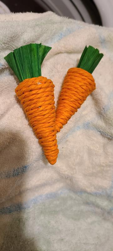 Frisco Carrot Chew Toys