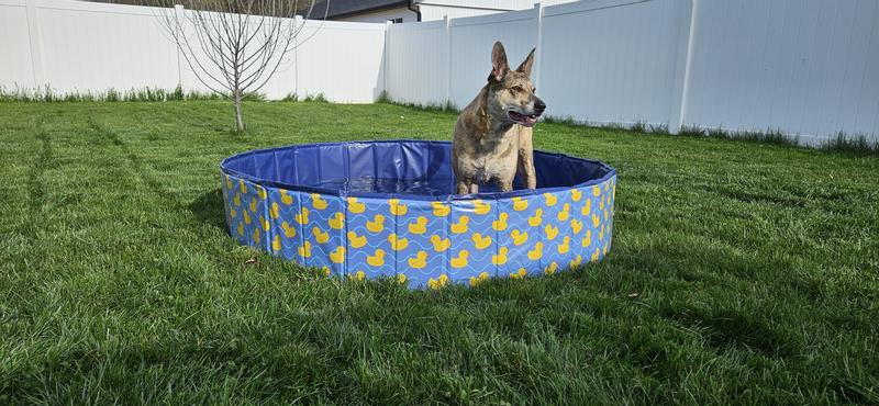 Discontinued - FRISCO Outdoor Dog Swimming Pool, Rubber