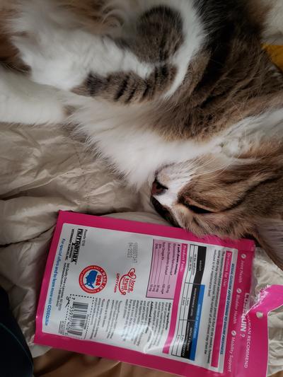 Catnip and Cosequin. Life is good