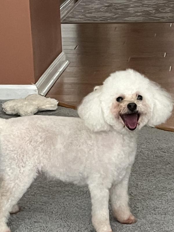 One happy dog!