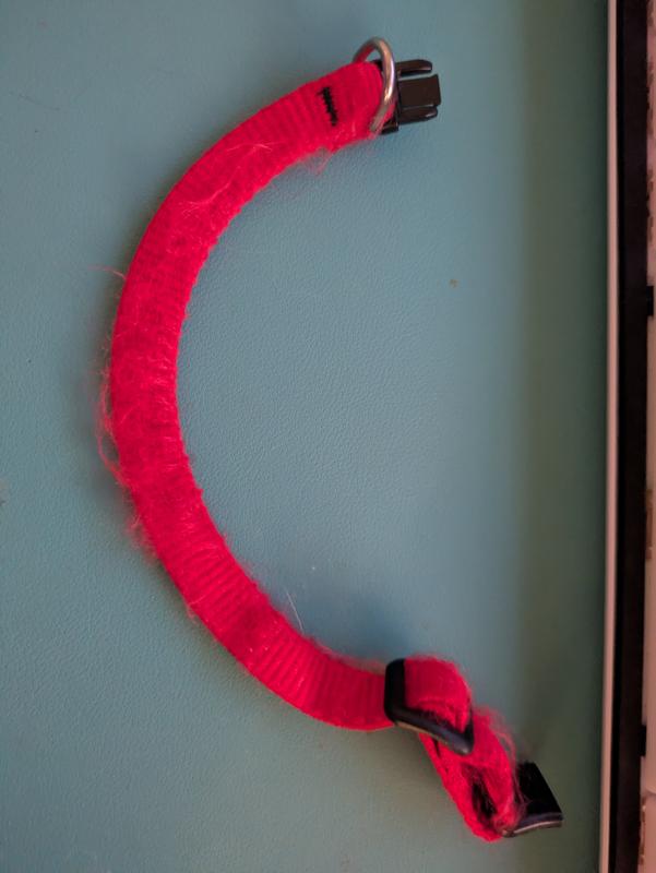 It's the red one but looks pink due to lighting. It should not curve like this while laying flat.