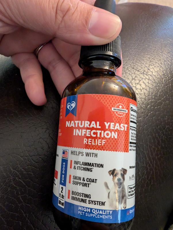 Anti Yeast Best Dry Dog Food For Yeast Infections BELOVED PETS