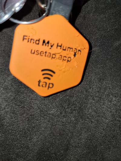 Lifekey Digital Dog ID Tag, Blaze Orange