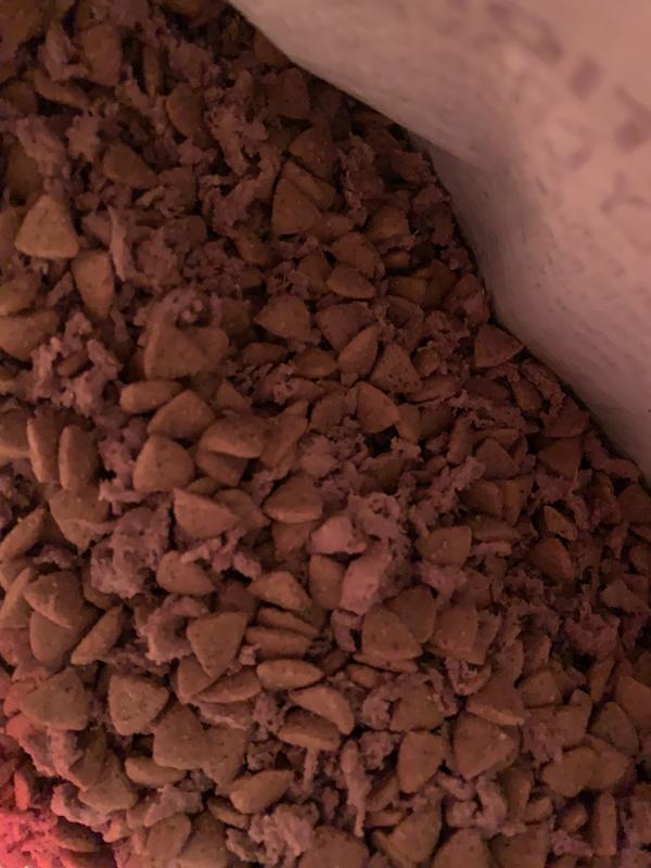 2nd bag, more kibble