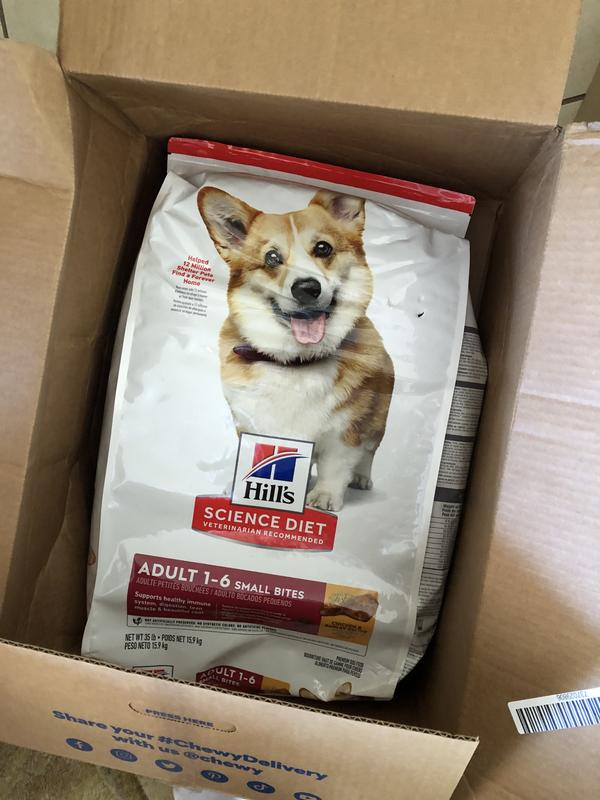 Science 2024 diet corgi