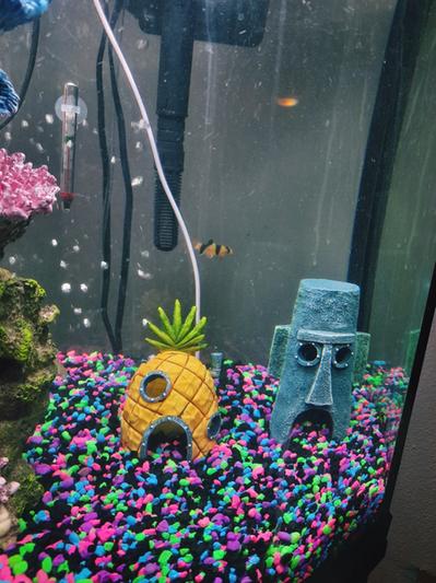 Bikini bottom hotsell aquarium decorations