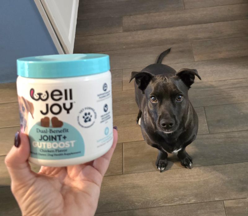 Dexter says "yes, please!"