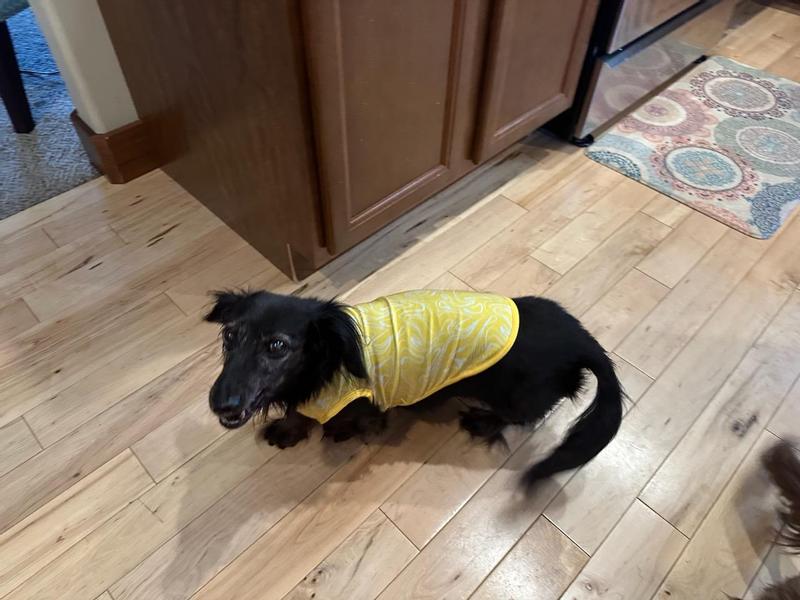 Fritz showing off his new T-shirt