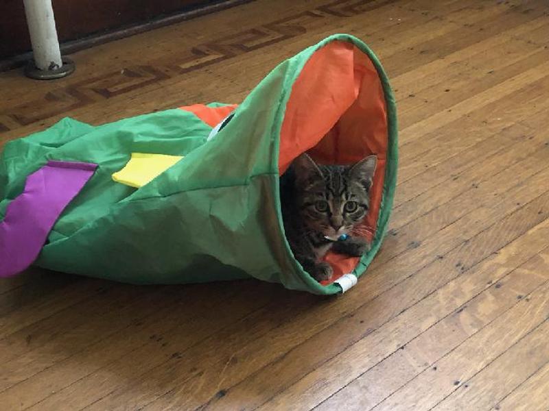 Getting better at getting along