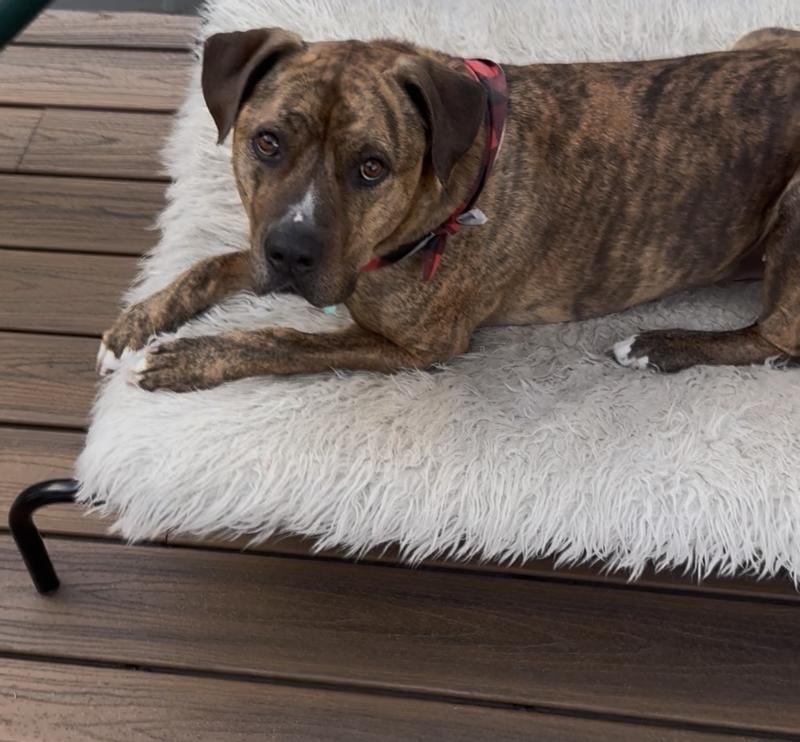 After I encouraged him, he got off