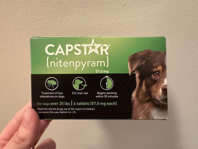 CAPSTAR Flea Oral Treatment for Dogs over 25 lbs 6 Tablets Chewy