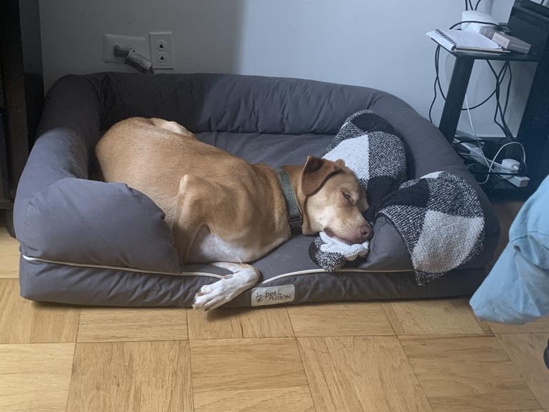 Best sleep of his life.