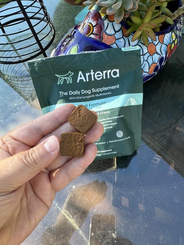 The size of the squares is good for medium to large dogs