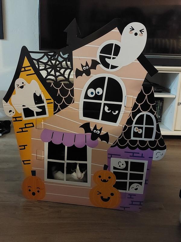 Old Lady MeMow yells at the neighborhood children to get off her haunted lawn.