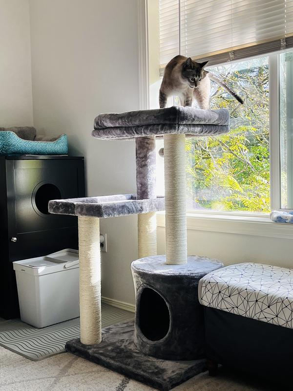 Both levels are wide and nicely spaced for large cats to lay