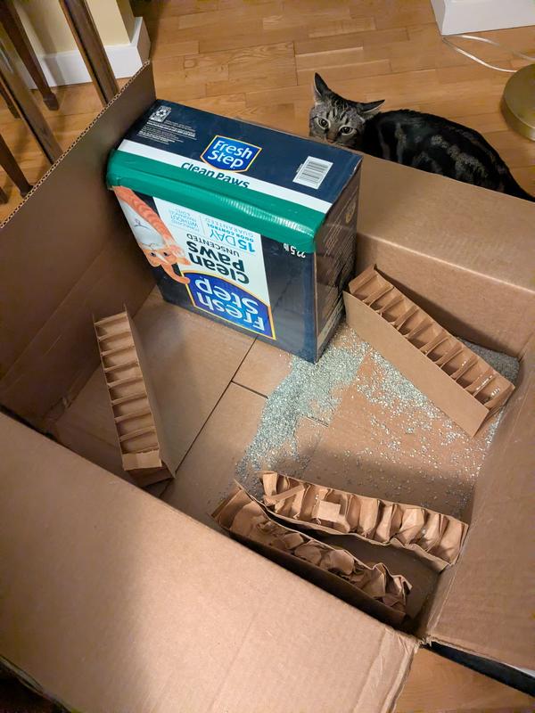 Loose kitty litter in the box, leaking from the bottom flap that was unglued.