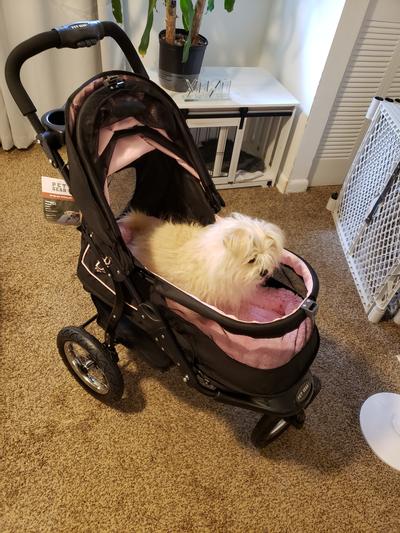 Pet Gear No-Zip NV Pet Stroller for Cats/Dogs, Easy Entry, Gel-Filled  Tires, Plush Pad, Cover Incl. & Reviews