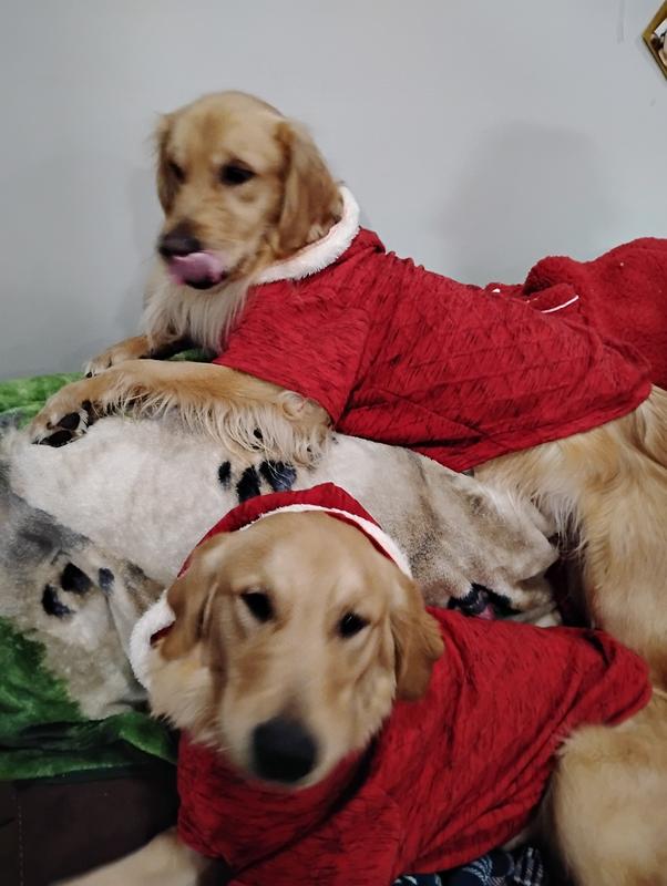 Celebrating Christmas