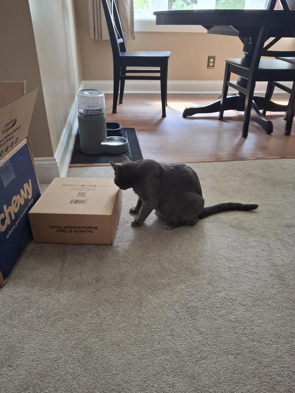 Cat scratcher
