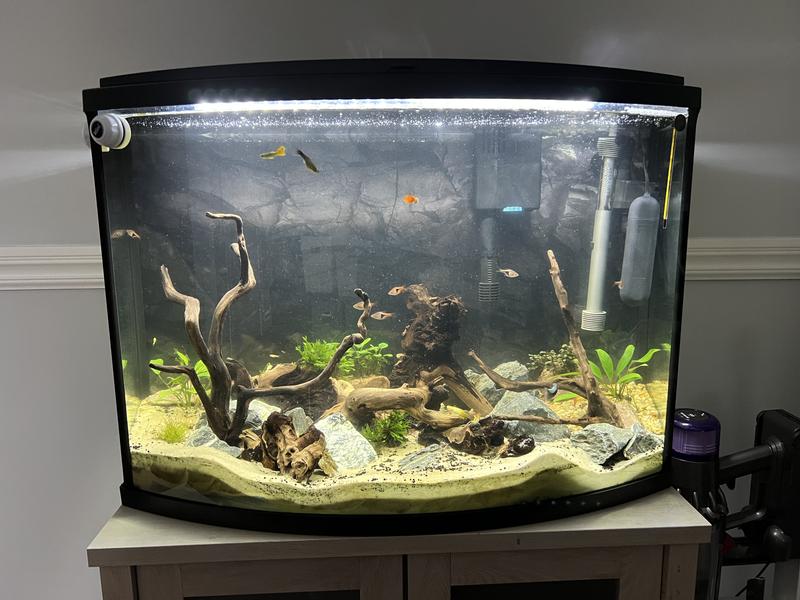 AA AQUARIUM Green Killing Machine Internal UV System, 3watt