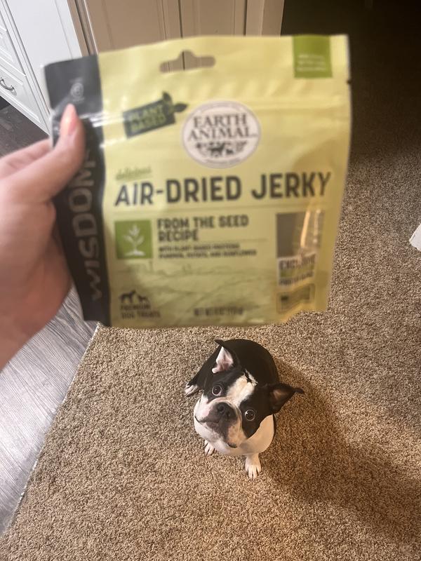 Murphy wants to know what Chewy sent us today!