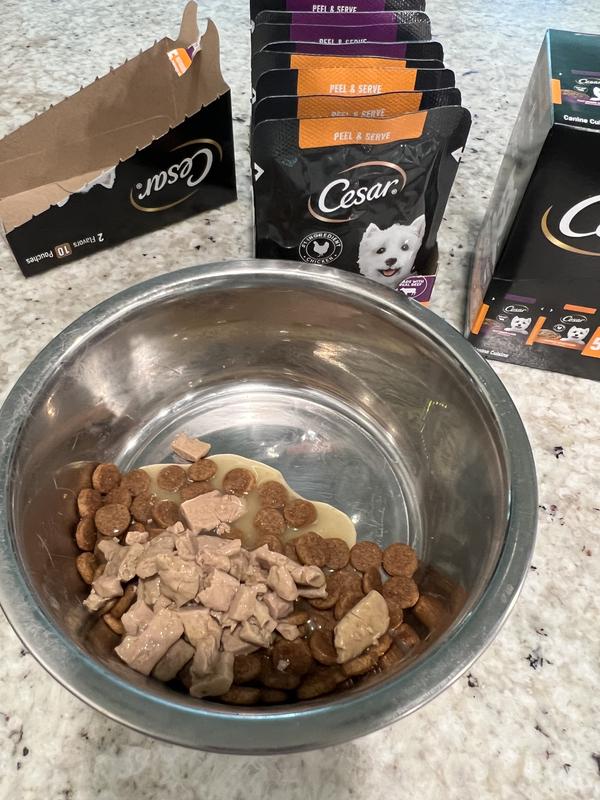 Mixed with his dry food