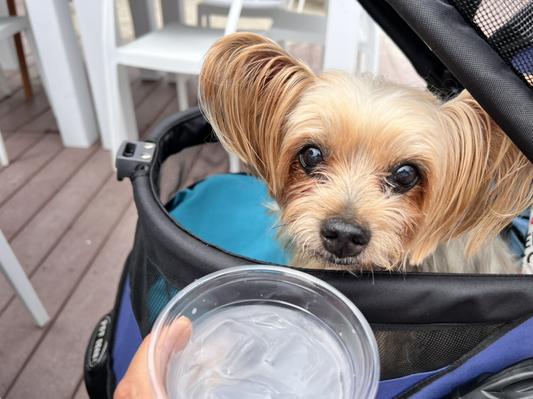 Nicholas in his Jeep
